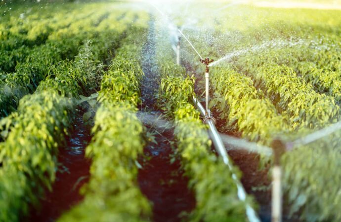 Irrigation System, Installation, & Repairs-Arlington TX Landscape Designs & Outdoor Living Areas-We offer Landscape Design, Outdoor Patios & Pergolas, Outdoor Living Spaces, Stonescapes, Residential & Commercial Landscaping, Irrigation Installation & Repairs, Drainage Systems, Landscape Lighting, Outdoor Living Spaces, Tree Service, Lawn Service, and more. Irrigation System, Installation, & Repairs-Arlington TX Landscape Designs & Outdoor Living Areas-We offer Landscape Design, Outdoor Patios & Pergolas, Outdoor Living Spaces, Stonescapes, Residential & Commercial Landscaping, Irrigation Installation & Repairs, Drainage Systems, Landscape Lighting, Outdoor Living Spaces, Tree Service, Lawn Service, and more.